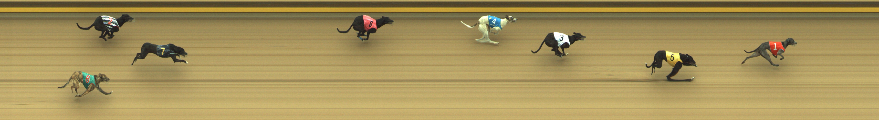 Race result finish photo